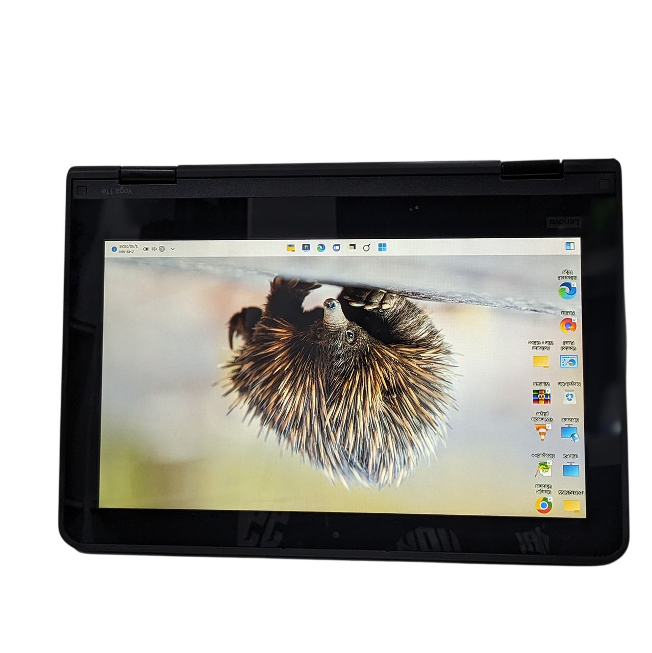 Lenovo Thinkpad Yoga 11e Touch Image 4